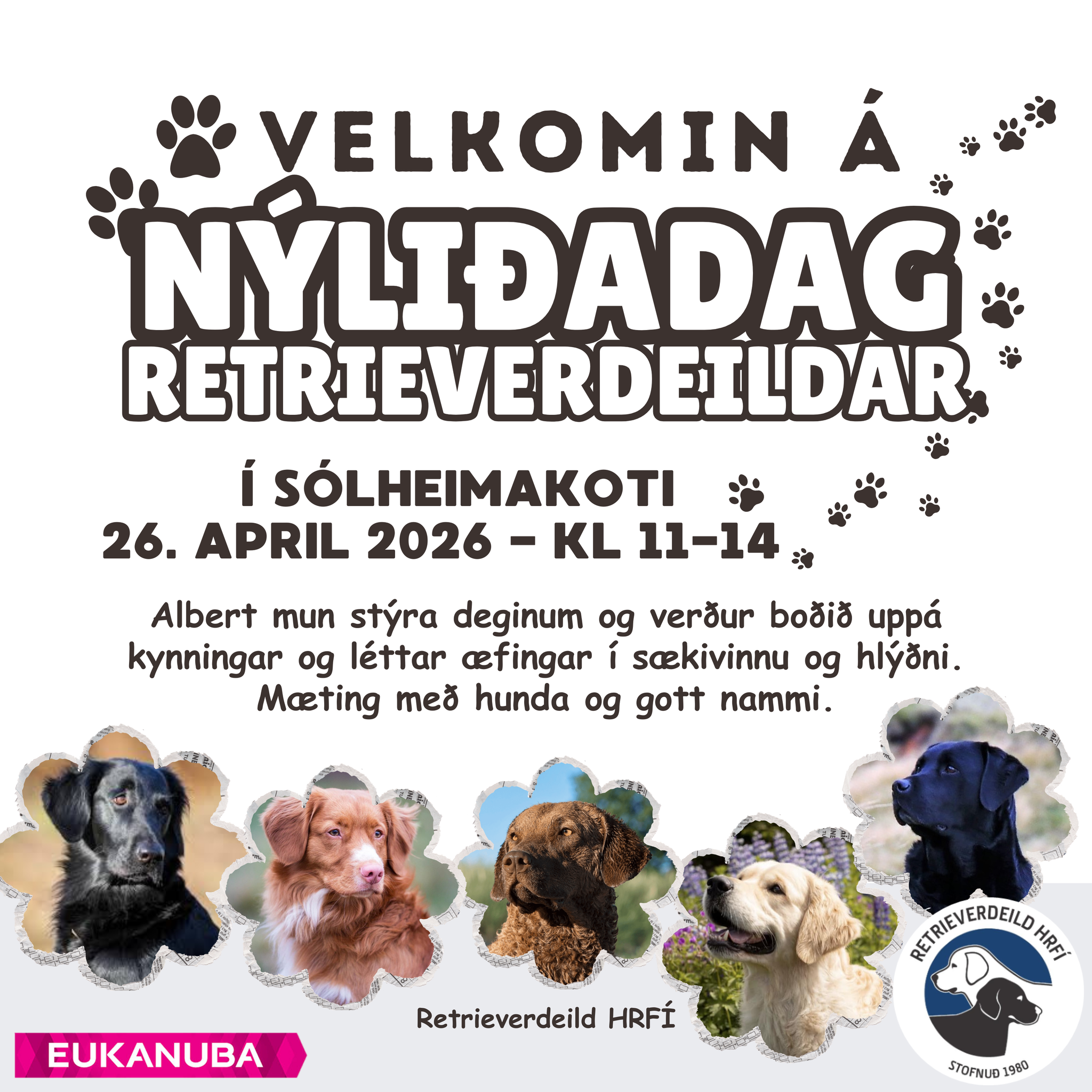 Nýliðadagur auglýsing